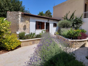 The Little House